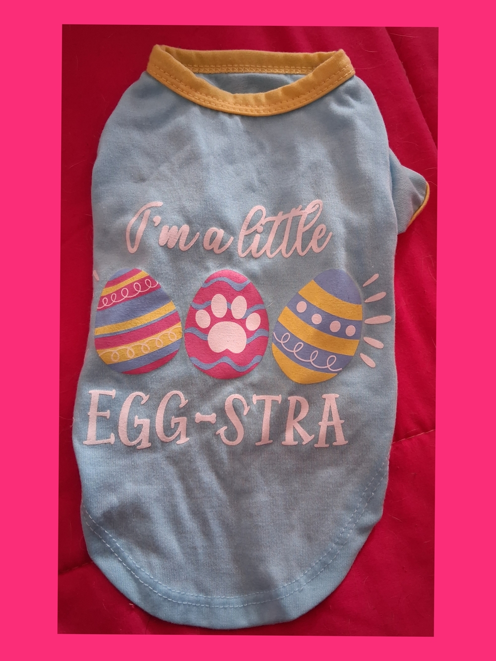 🐶3/$10-Vibrant Light Blue & Yellow 'I'm a little EGG-STRA' Dog Tee